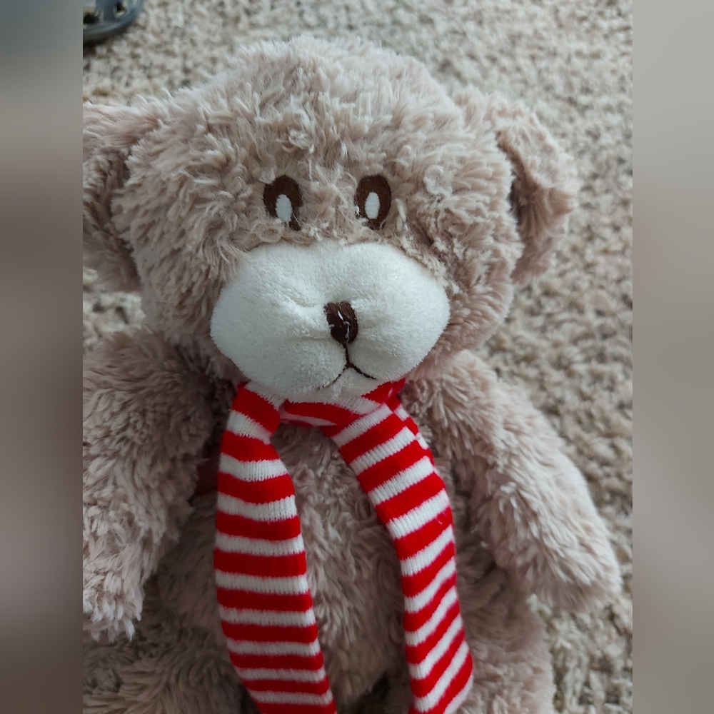 Plush bear 🧸